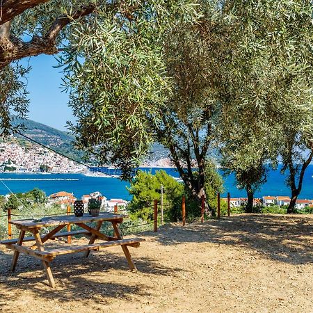 סקופלוס טאון Olive Grove Apartment מראה חיצוני תמונה