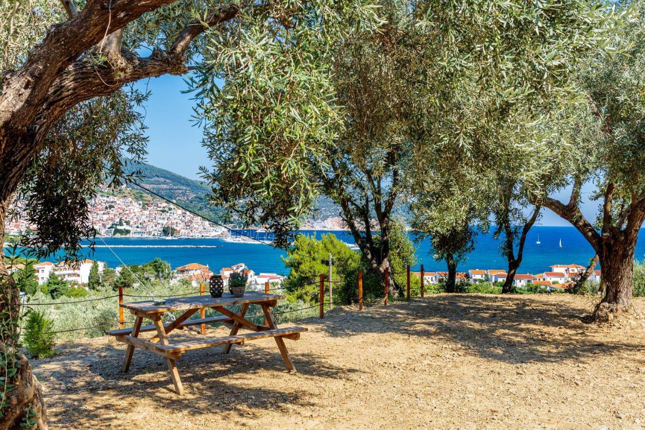 סקופלוס טאון Olive Grove Apartment מראה חיצוני תמונה