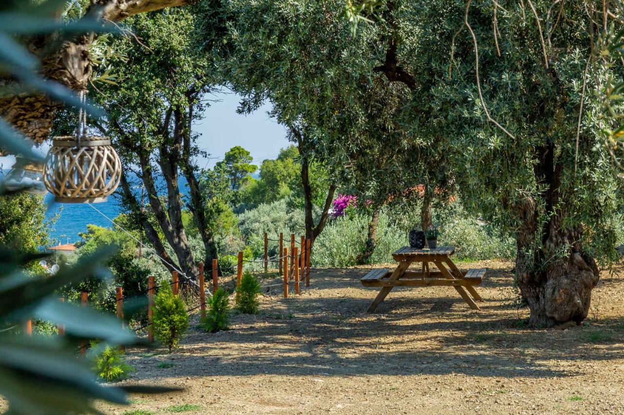 סקופלוס טאון Olive Grove Apartment מראה חיצוני תמונה